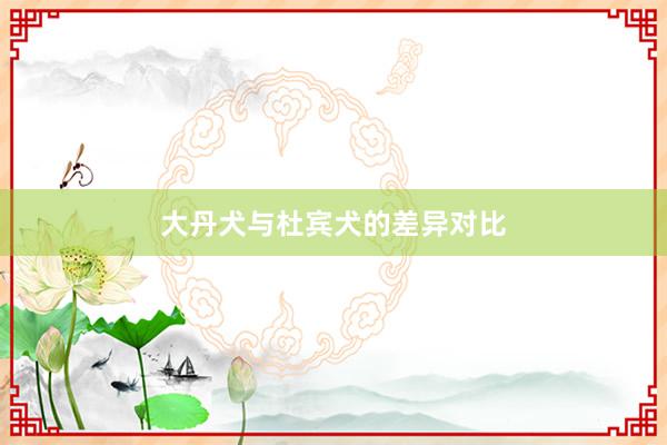 大丹犬与杜宾犬的差异对比