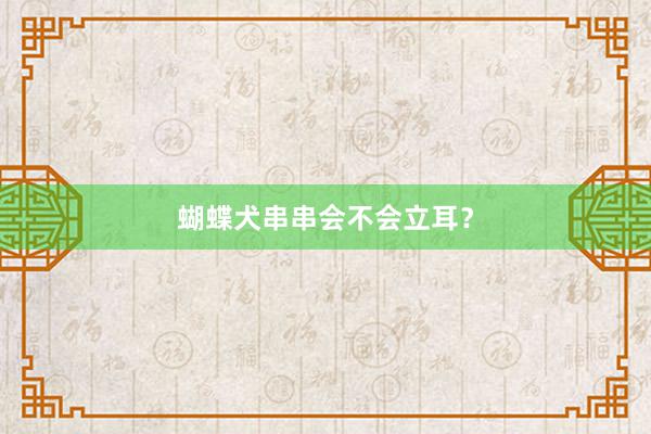 蝴蝶犬串串会不会立耳？