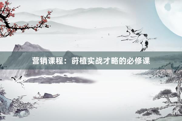 营销课程:莳植实战才略的必修课